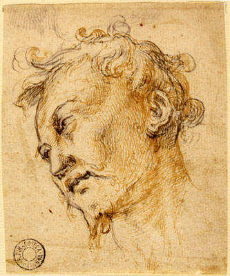 Calvaert Denys-Testa virile di tre quarti a sinistra (recto) - Traccia di gamba panneggiata (verso)
